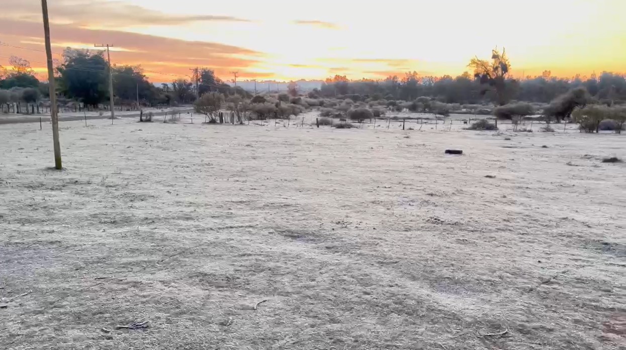 Frio intenso e chance de geada: previsão do tempo indica terça-feira gelada no RS; confira