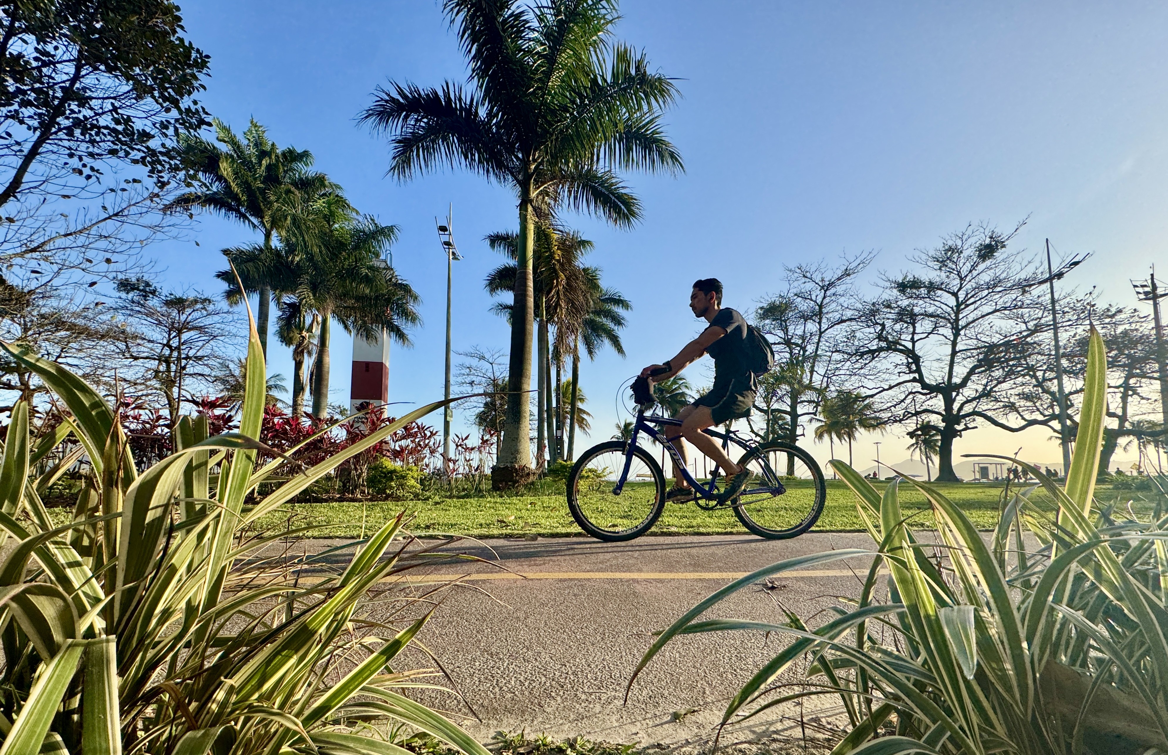 Santos quer instalar EcoTotens nas praias com apoio da iniciativa privada; entenda 