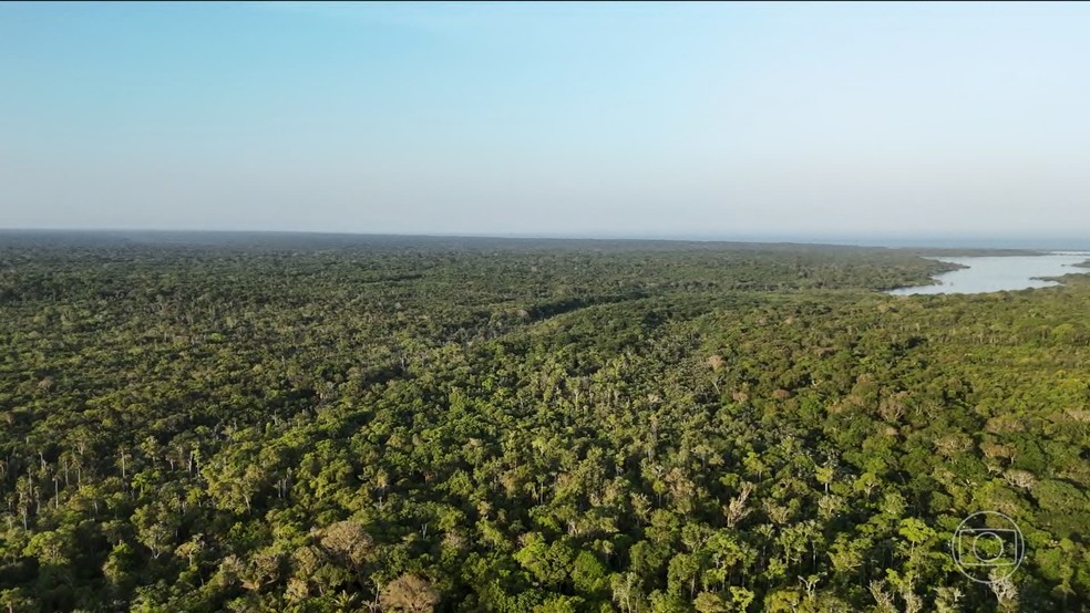 Projetos levam dinheiro, educação e futuro para a Amazônia — Foto: Jornal Nacional/ Reprodução