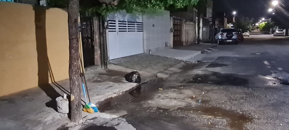 Pit-bull abandonado em rua de Betim ataca e fere carroceiro e