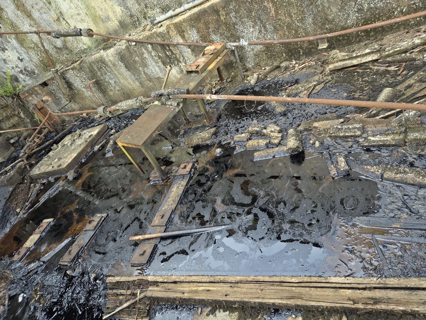 Vazamento de óleo causa grave contaminação no Rio Ribeira, aponta vistoria de instituto