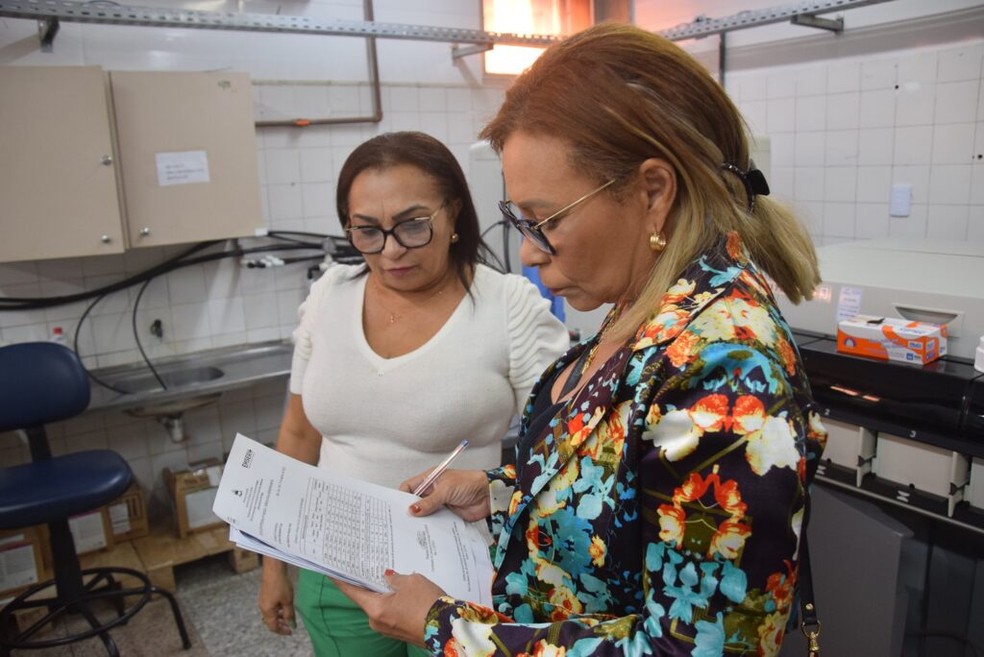 Lista de materiais foi avaliada pela promotora de justiça Glória Mafra. — Foto: Johelton Gomes/MPMA