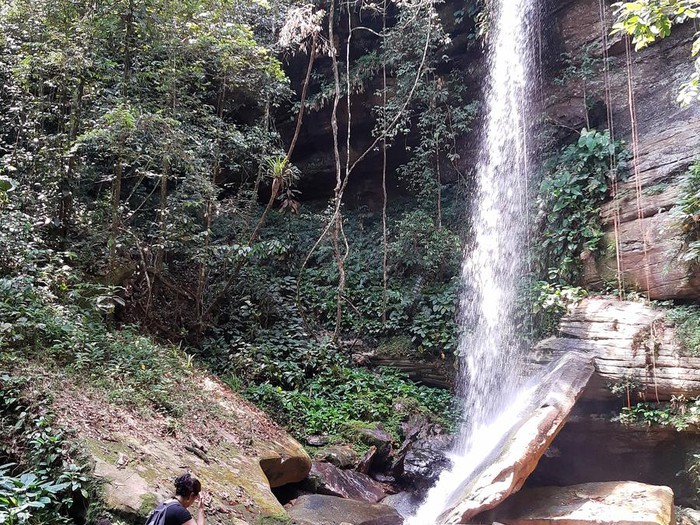 Caso do Pico Paraná vira alerta para turistas e guia dá dicas para quem busca trilhas no Amazonas