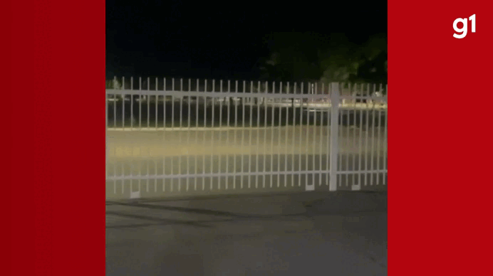 Criança de 10 anos é flagrada dirigindo após perseguição policial em Arinos