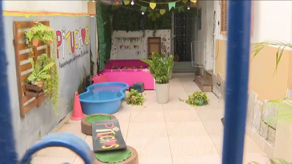 Pituchos da Lu ficam em Botafogo, na Zona Sul do Rio — Foto: Reprodução/TV Globo