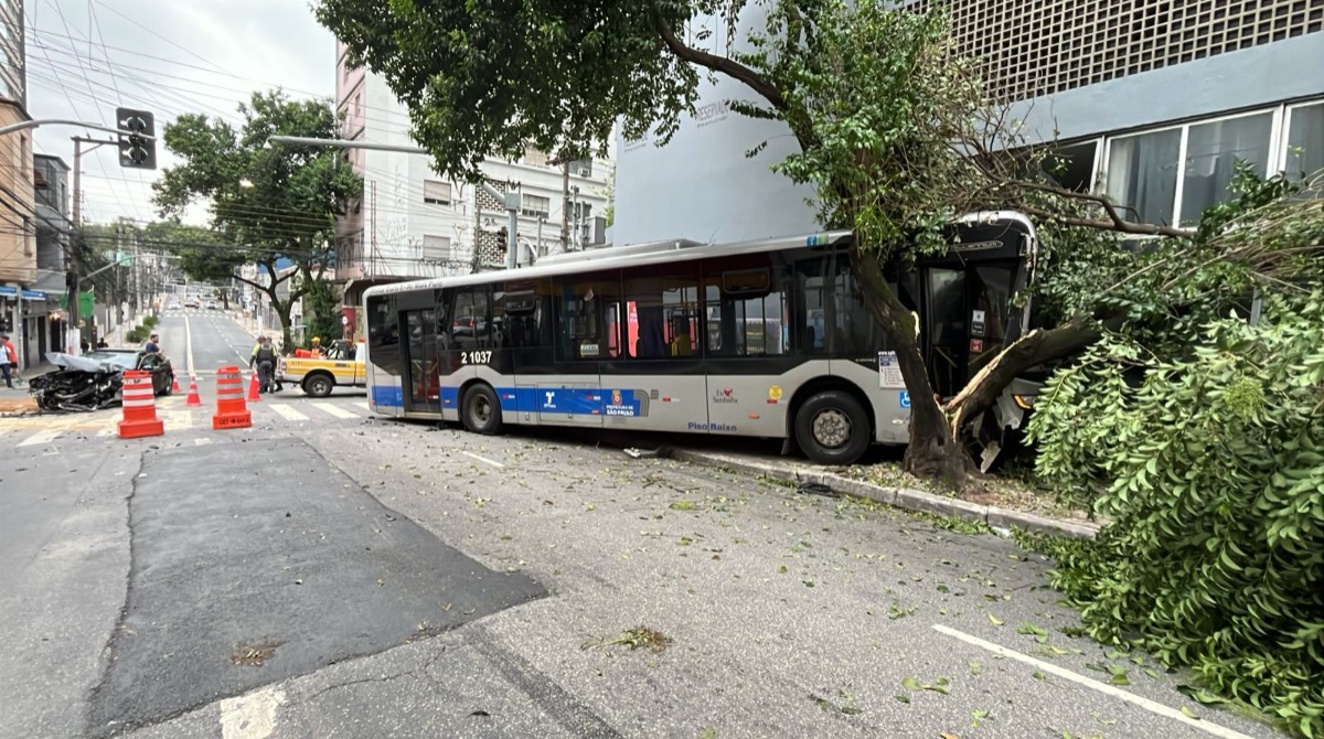 Carro fica destruído em acidente com ônibus, que partiu árvore ao meio