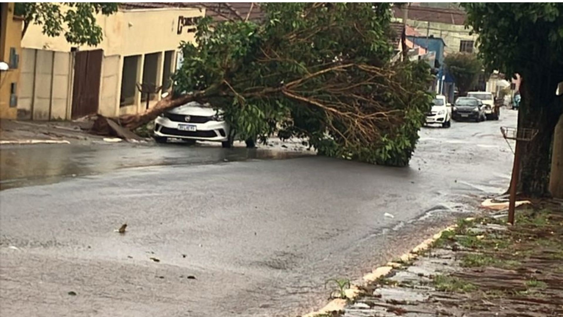 Chuva e ventos de quase 100 km/h causam estragos em Sacramento; veja vídeo e outras cidades afetadas