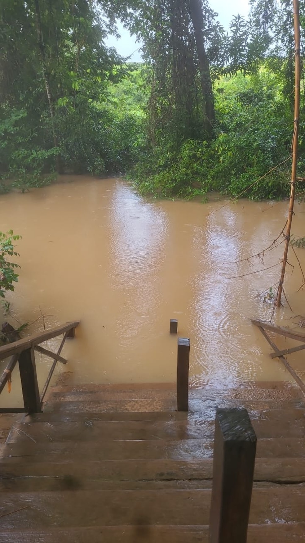 Imagem Osmane Silva/Divulgação