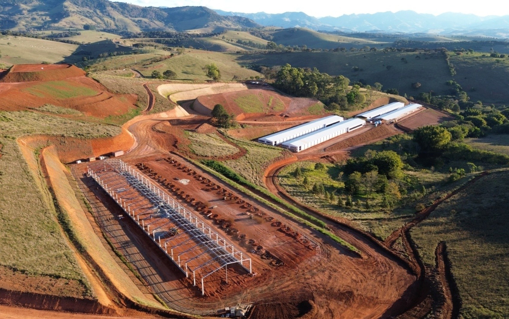 Sul de Minas deve receber investimento de R$ 205 milhões para a produção de ovos
