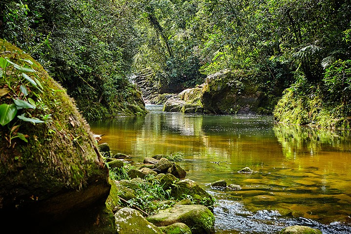 Ilha protegida no litoral de SP reserva cenários paradisíacos; Conheça