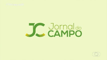 Veja os destaques do Jornal do Campo deste domingo (14)