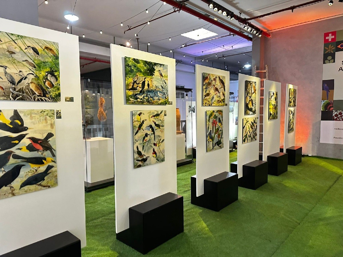 Exposição suíço-brasileira sobre a Amazônia segue até 30 de junho no Aeroporto de Natal
