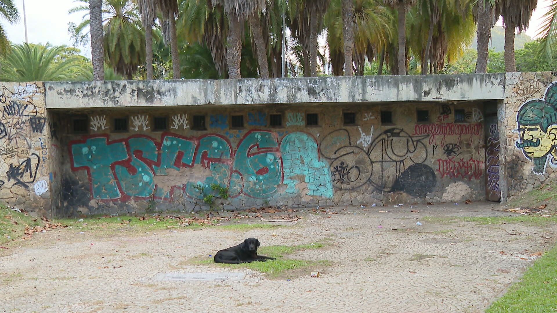 Áreas turísticas e de lazer do Rio sofrem com falta de banheiros públicos