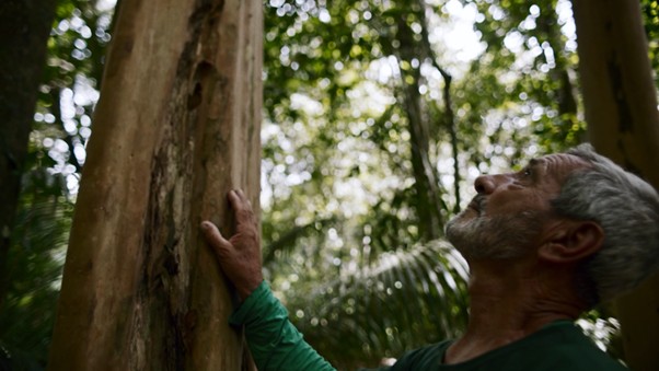 REGUA: inspiração e preservação no coração da Mata Atlântica