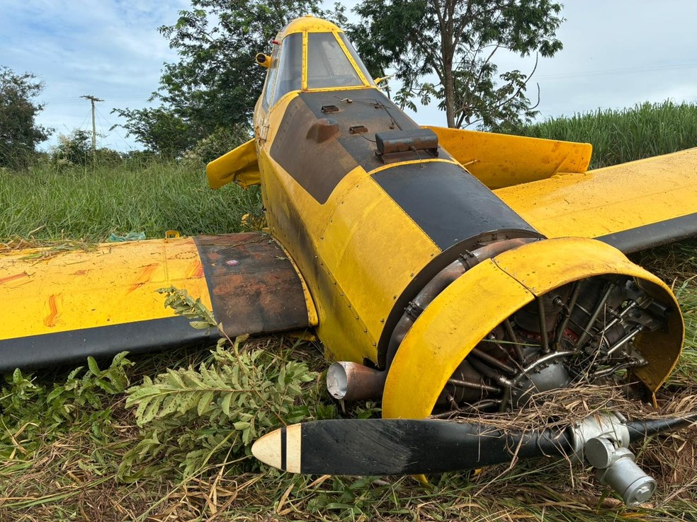 Avião agrícola precisou fazer pouso forçado em área de vegetação em Mendonça (SP) — Foto: Arquivo pessoal