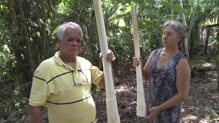 VÍDEOS: Inter TV Rural deste domingo, 31 de agosto