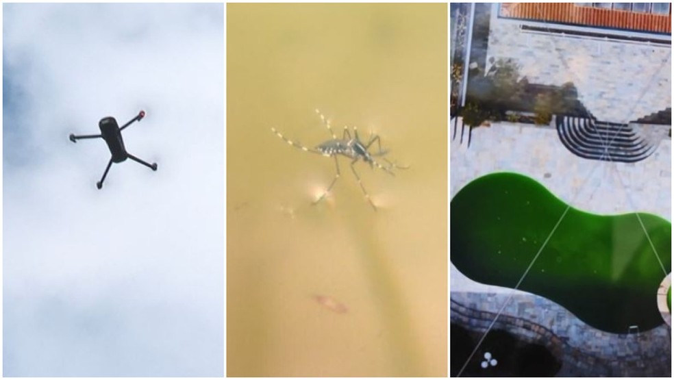 São Carlos usa drones para monitorar imóveis com dengue; entenda — Foto: Reprodução/EPTV