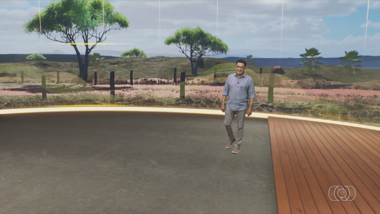 VÍDEOS: Jornal do Campo deste domingo (21)