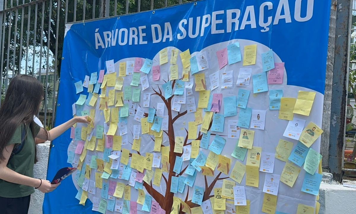 Projeto social distribui mensagens com 'árvore da superação' para acolher candidatos do Enem em Salvador