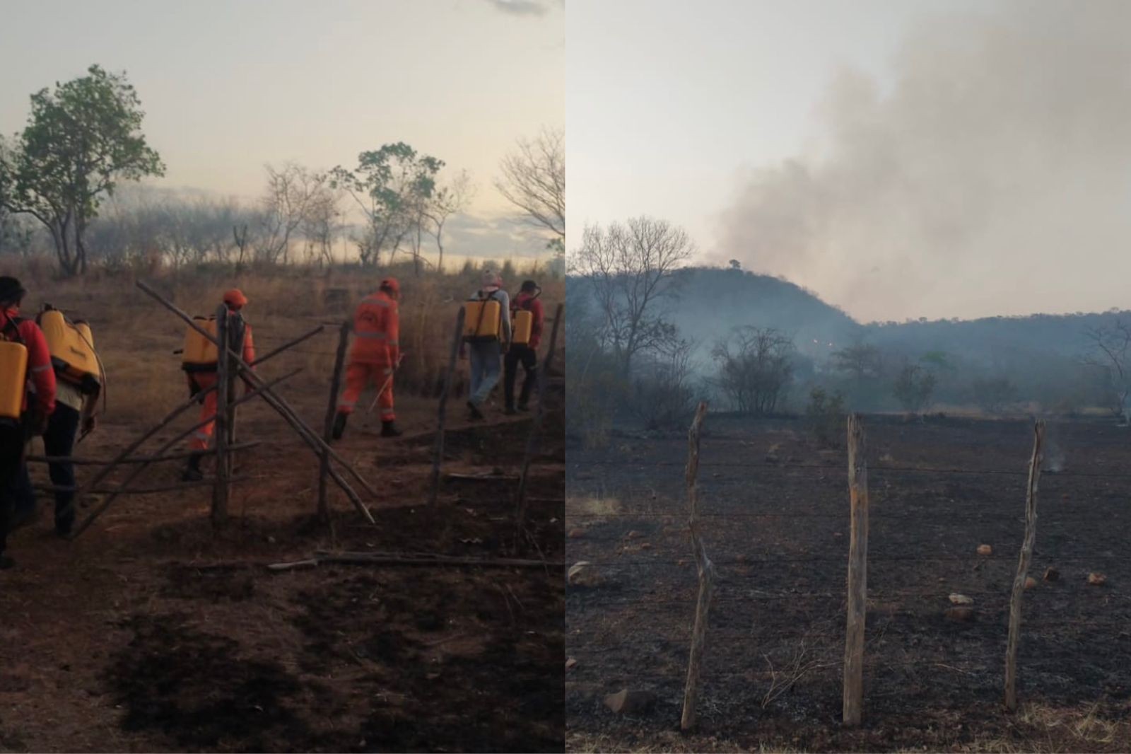 Incêndio atinge propriedades rurais, devasta áreas de cultivo e mata dezenas de animais no Piauí