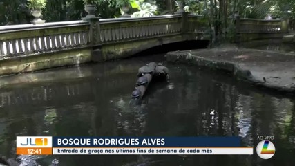 Bosque Rodrigues Alves, em Belém, tem entrada franca no último fim de semana de cada mês