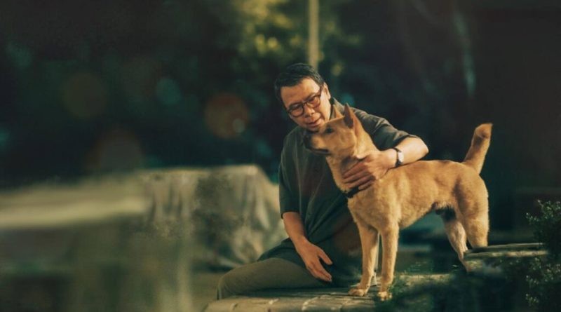 Pet shop é condenado a pagar R$ 18 mil para família que comprou filhote de cachorro doente 