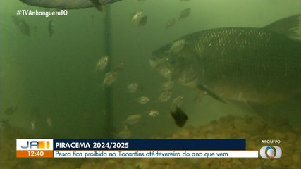 Período de Piracema: pesca em rios e lagos fica proibida a partir desta segunda (4)