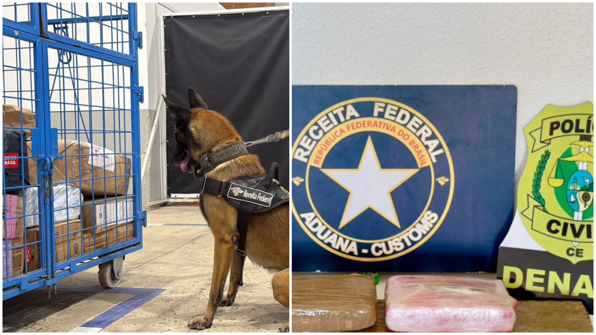 Polícia apreende 6kg de skunk em encomenda enviada do RJ para Fortaleza