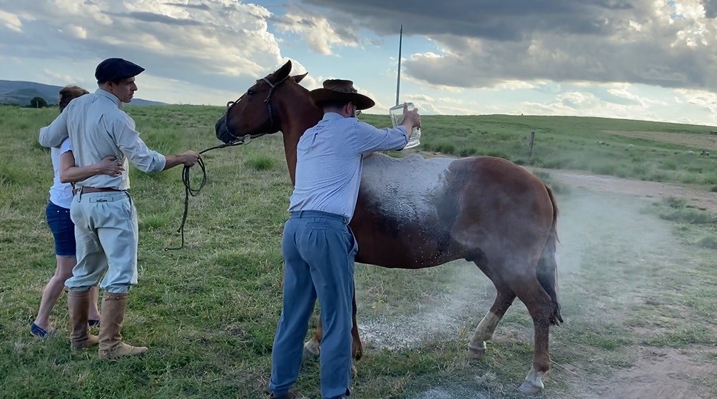 Em homenagem póstuma, família usa cavalo para espalhar cinzas de pecuarista em fazenda no RS