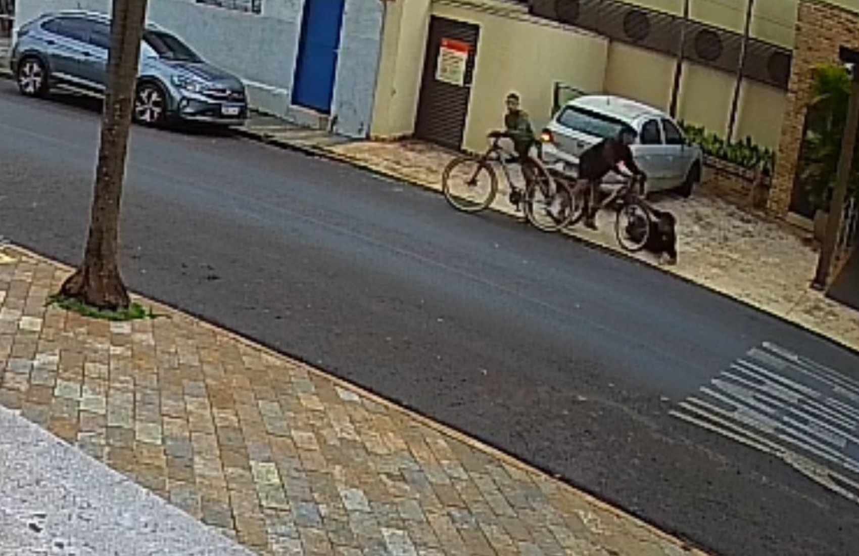 'Empurraram e jogaram no chão', diz testemunha que viu irmãos adolescentes tentarem roubar idoso em Ribeirão Preto, SP