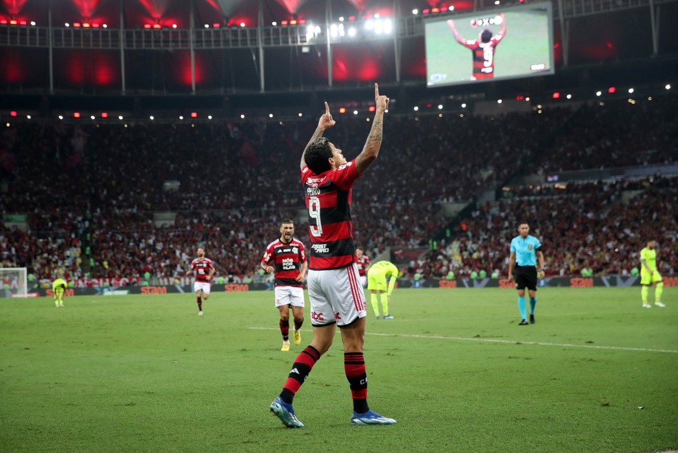 Pedro, do Flamengo, celebra gol diante do Palmeiras — Foto: Ricardo Moraes/Reuters