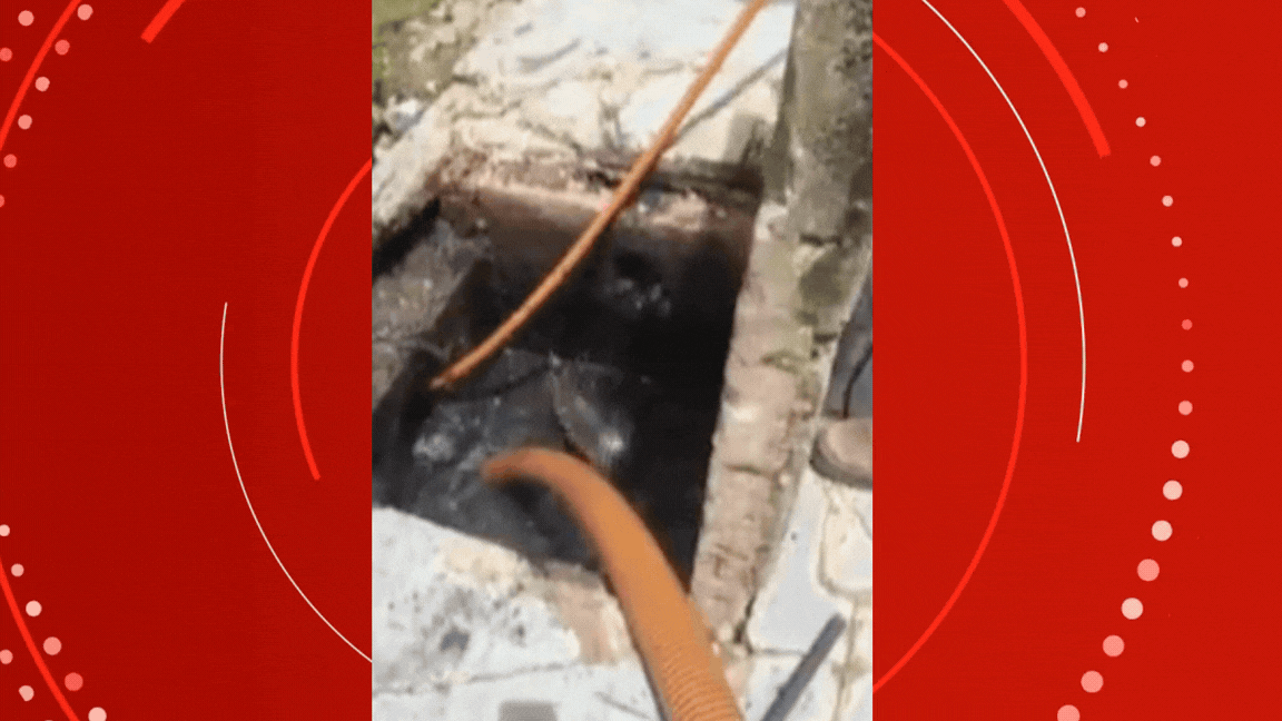 Tatu sai de bueiro entupido e surpreende trabalhadores durante limpeza em Cuiabá; VÍDEO