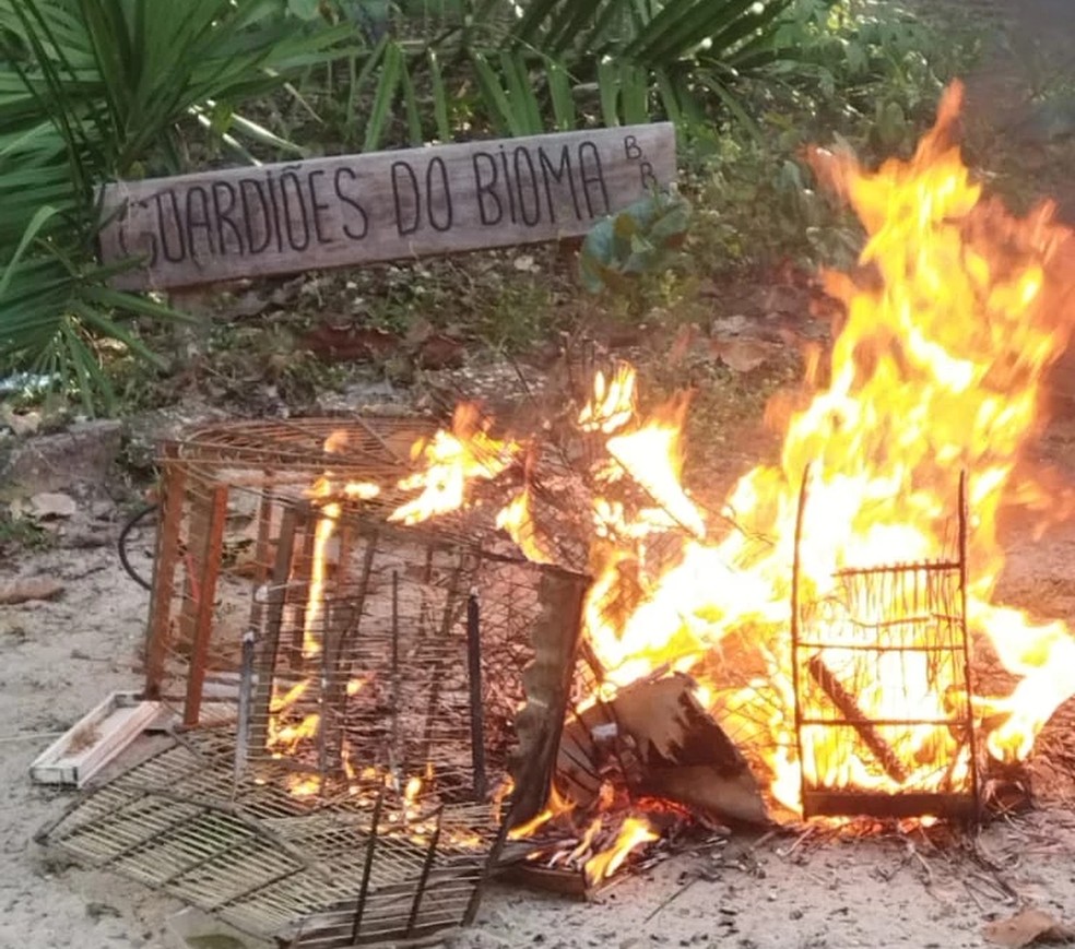 A Polícia Civil do Maranhão (PC-MA) prendeu, nessa segunda-feira (13), nove pessoas suspeitas de cometerem crimes ambientais contra a fauna e a flora — Foto: Divulgação/Polícia Civil do Maranhão