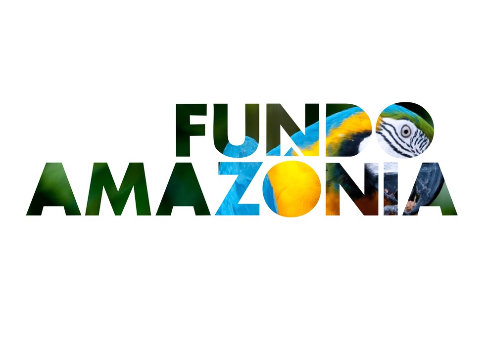 Fundo tem cerca de R$ 3,2 bilhões paralisados para a destinação a novos projetos, de acordo com a CGU. — Foto: Fundo Amazônia/Divulgação