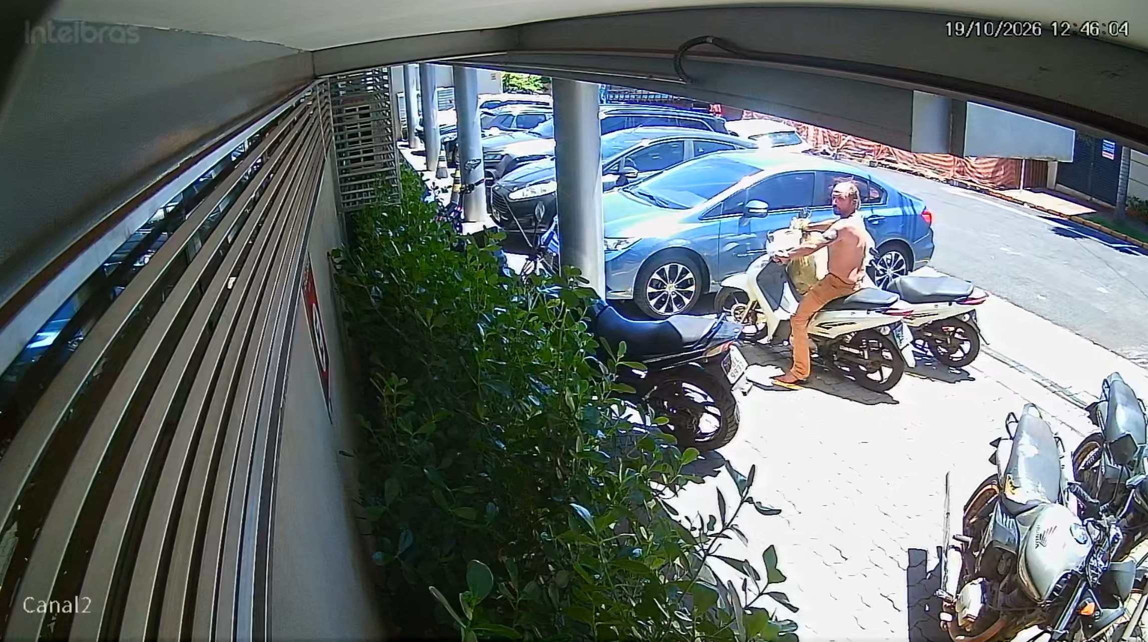 Vídeo mostra ladrão atrapalhado em furto de moto em Ribeirão Preto, SP