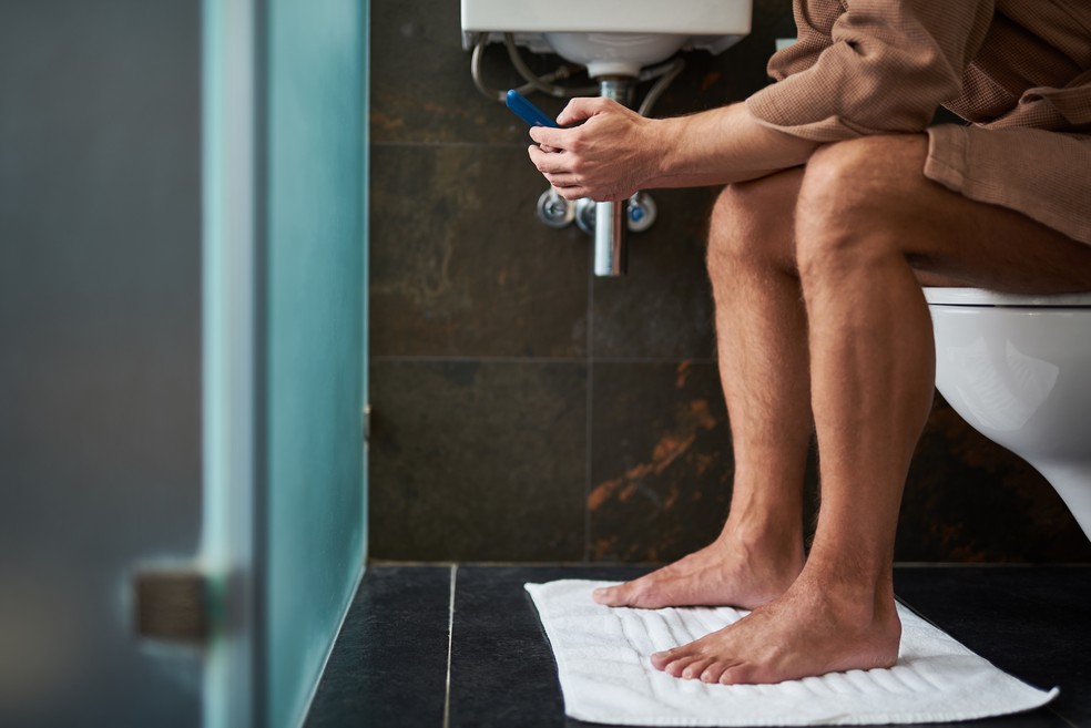 xixi sentado — Foto: AdobeStock
