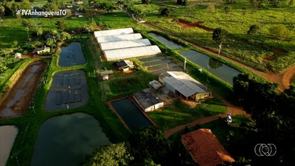 Piscicultora investe no cultivo de larvas de tilápias para aumentar renda