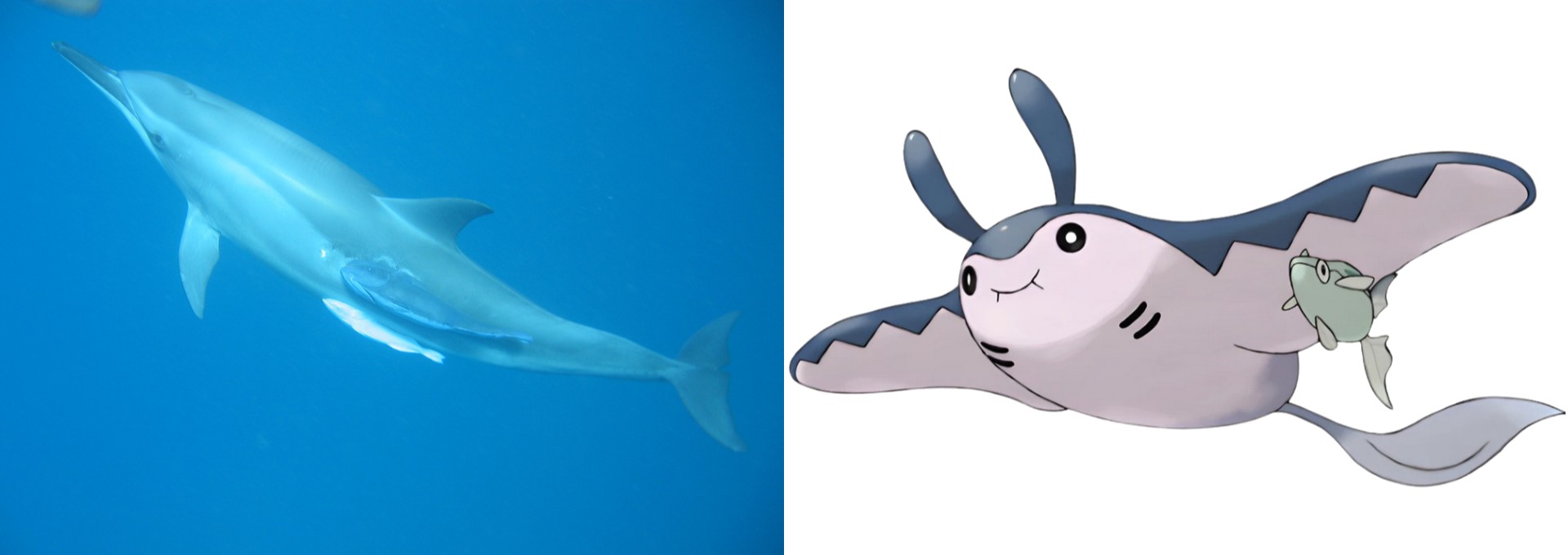 De Pokémon ao Enem: biólogo mostra como animação ajuda a estudar temas que podem cair no exame