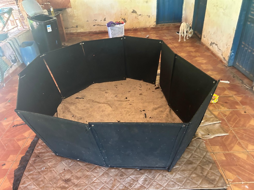 No local, foram encontrados vários animais presos em gaiolas e também um cachorro com sinais de maus-tratos — Foto: Polícia Civil de Mato Grosso