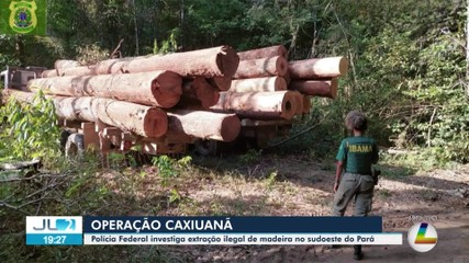 PF investiga extração ilegal de madeira no sudoeste do Pará