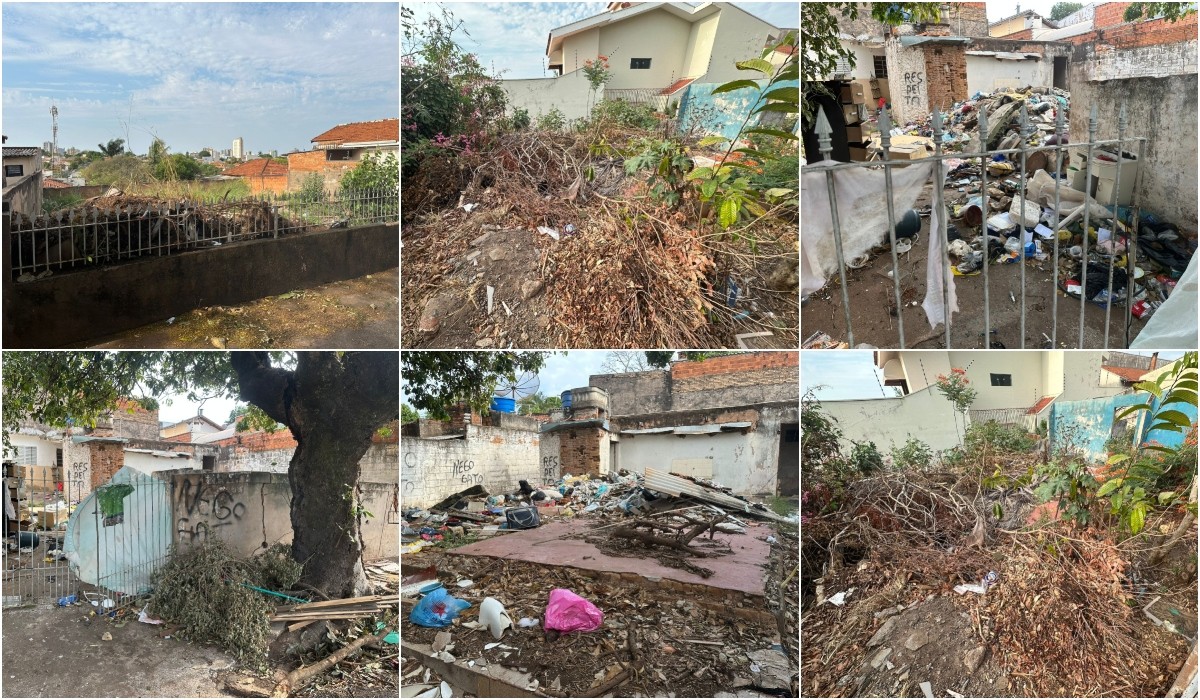 Número de notificações para limpeza de terrenos cresce 27% em Presidente Prudente