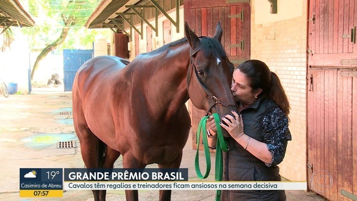 Transou com o cavalo