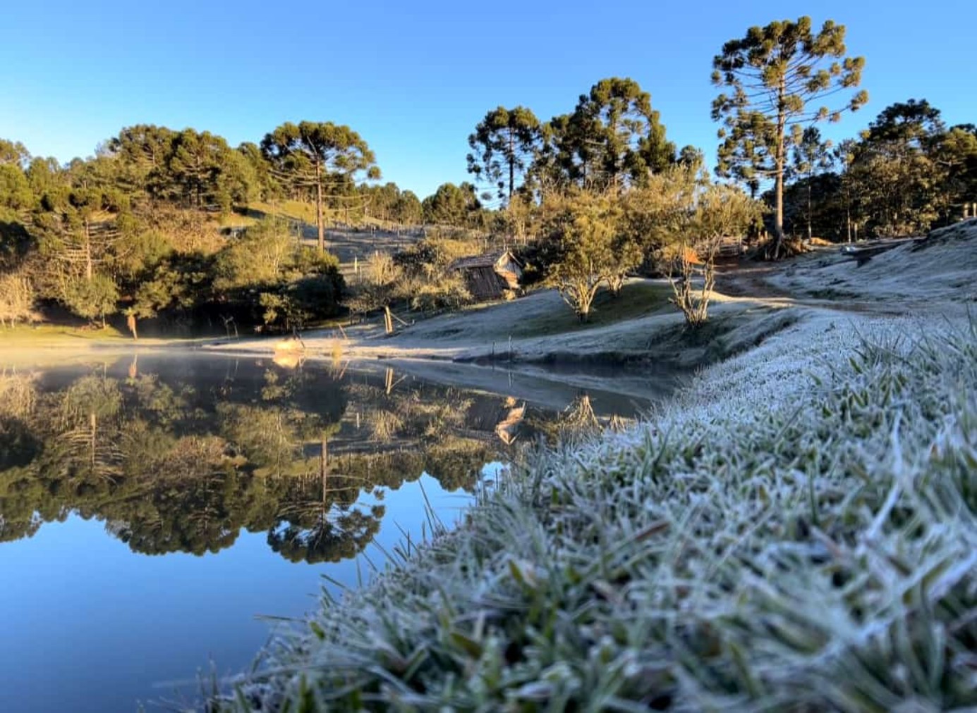 Paraná recebe previsão de temperaturas negativas de até -2ºC; veja quando e onde