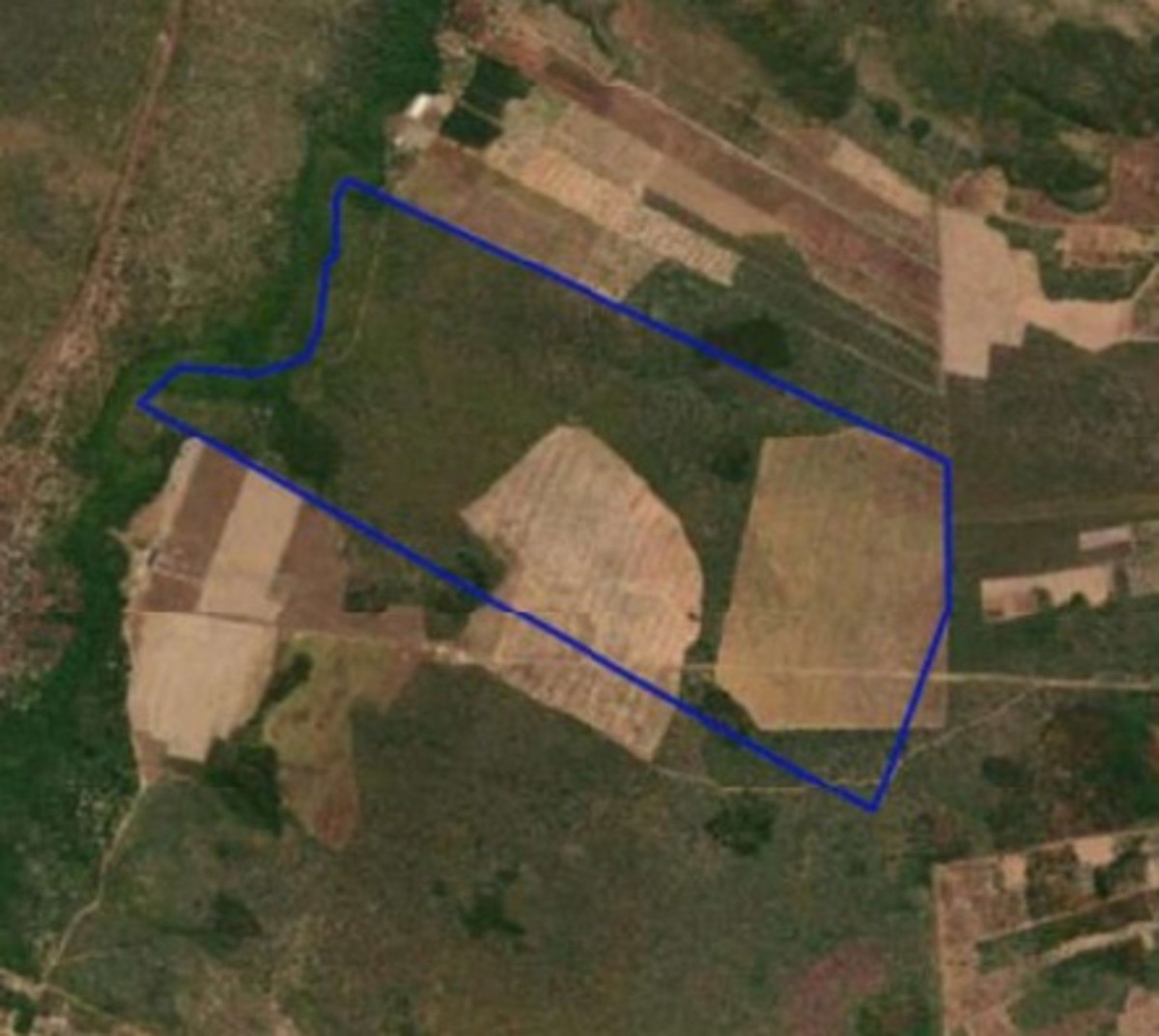 Fazenda de quase 360 hectares vai a leilão no Sul do Piauí; saiba como participar