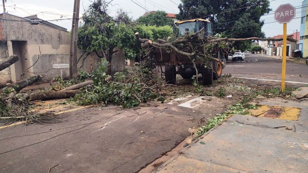 TV Paraguaçu - Raio atinge e mata cavalo durante temporal, em Presidente  Prudente