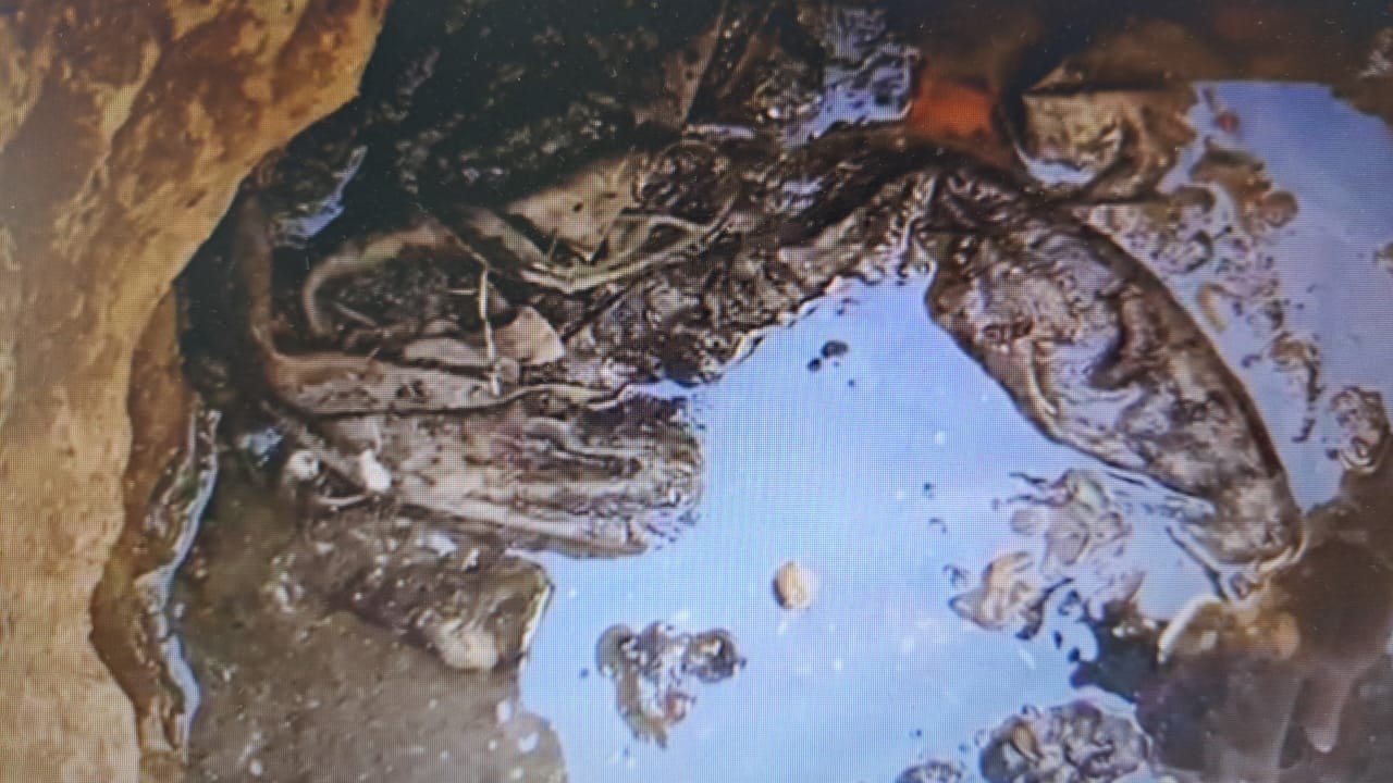 Feto é encontrado durante desentupimento da rede de esgoto de condomínio em Uberaba, diz polícia