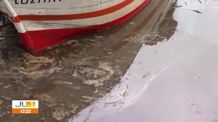 Município de Bragança decreta situação de emergência após acidente com vazamento de óleo