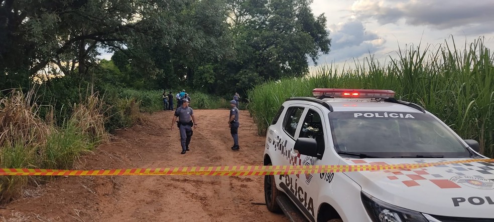 Corpos de família foram encontrados em canavial de Votuporanga (SP) — Foto: Patrick Lima/TV TEM
