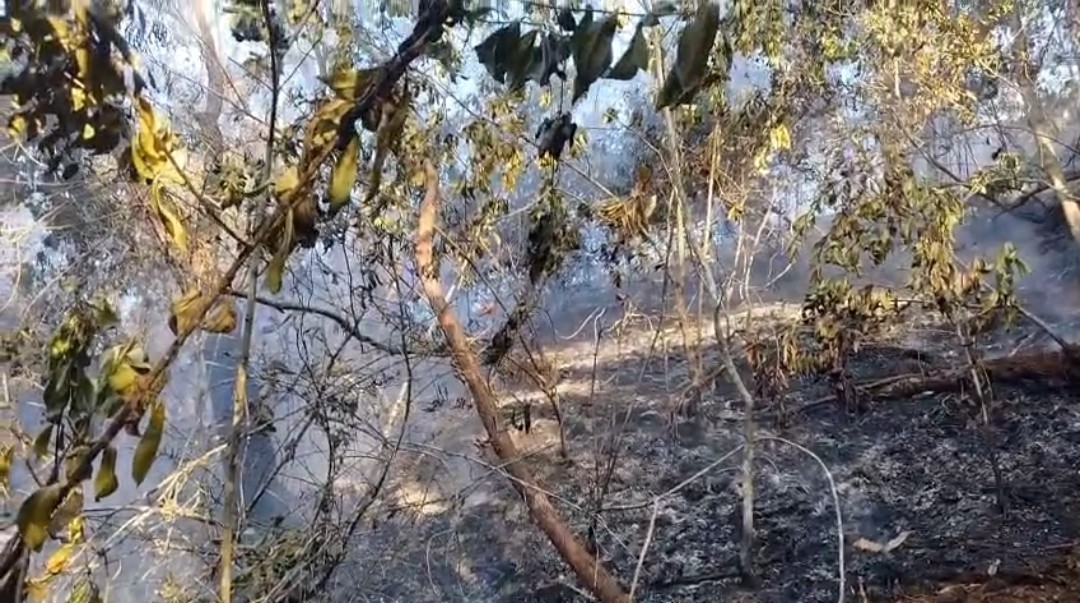 Incêndio causado por balão na Floresta da Tijuca dura mais de 24 horas e interdita 5 trilhas 