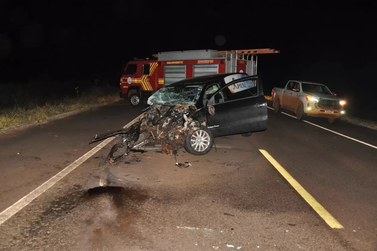 Homem morre após carro fúnebre bater em duas antas na BR-060 em MS